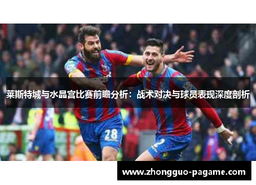 莱斯特城与水晶宫比赛前瞻分析：战术对决与球员表现深度剖析