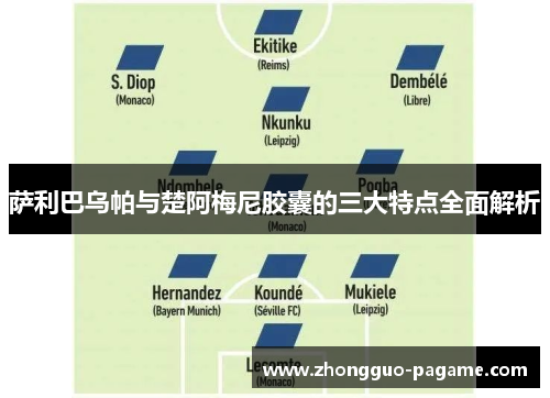 萨利巴乌帕与楚阿梅尼胶囊的三大特点全面解析