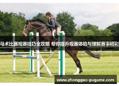 马术比赛观赛技巧全攻略 帮你提升观赛体验与理解赛事精彩